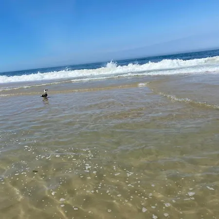 Bleu Ocean פראיה דה מירה