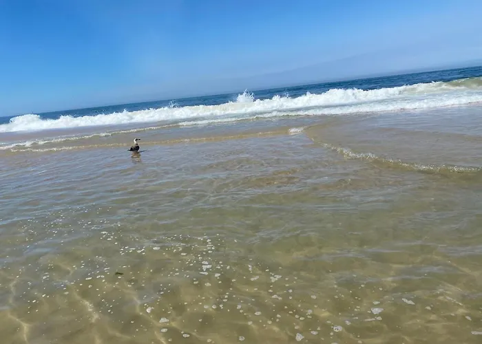 Bleu Ocean פראיה דה מירה