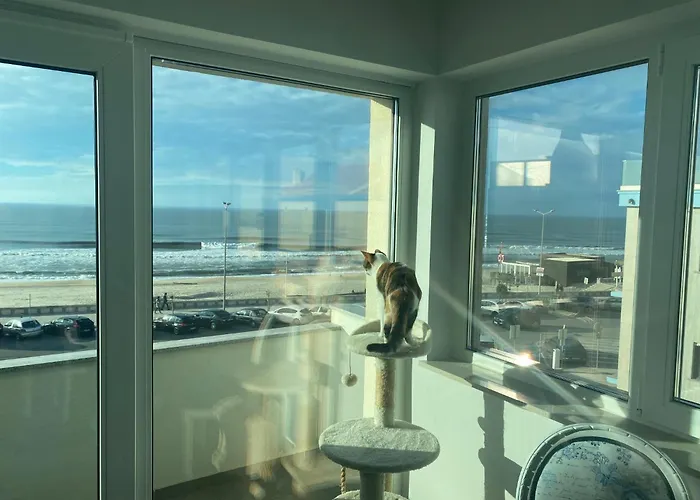 Appartement Bleu Océan *